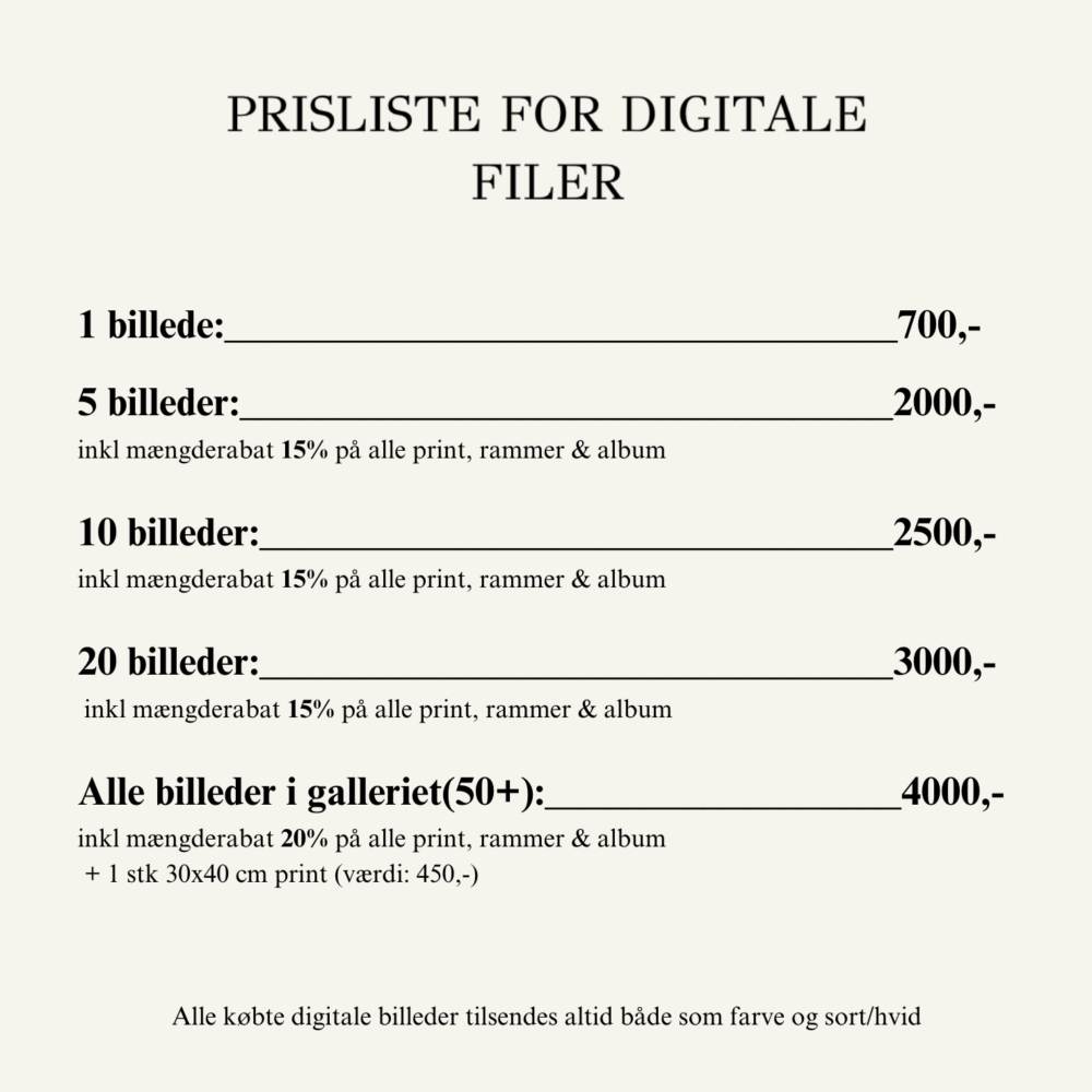 Prisliste for digitale filer